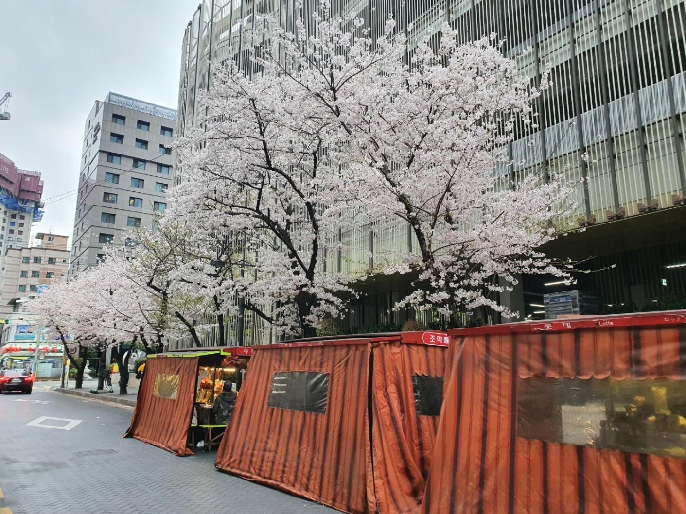 Busan Business Hotel Eksteriør bilde
